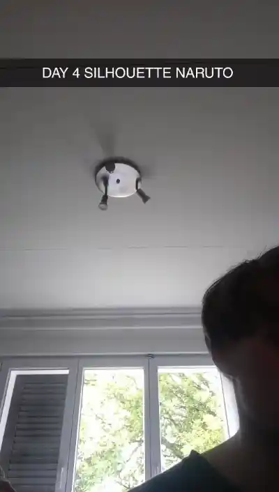 Silhouette
